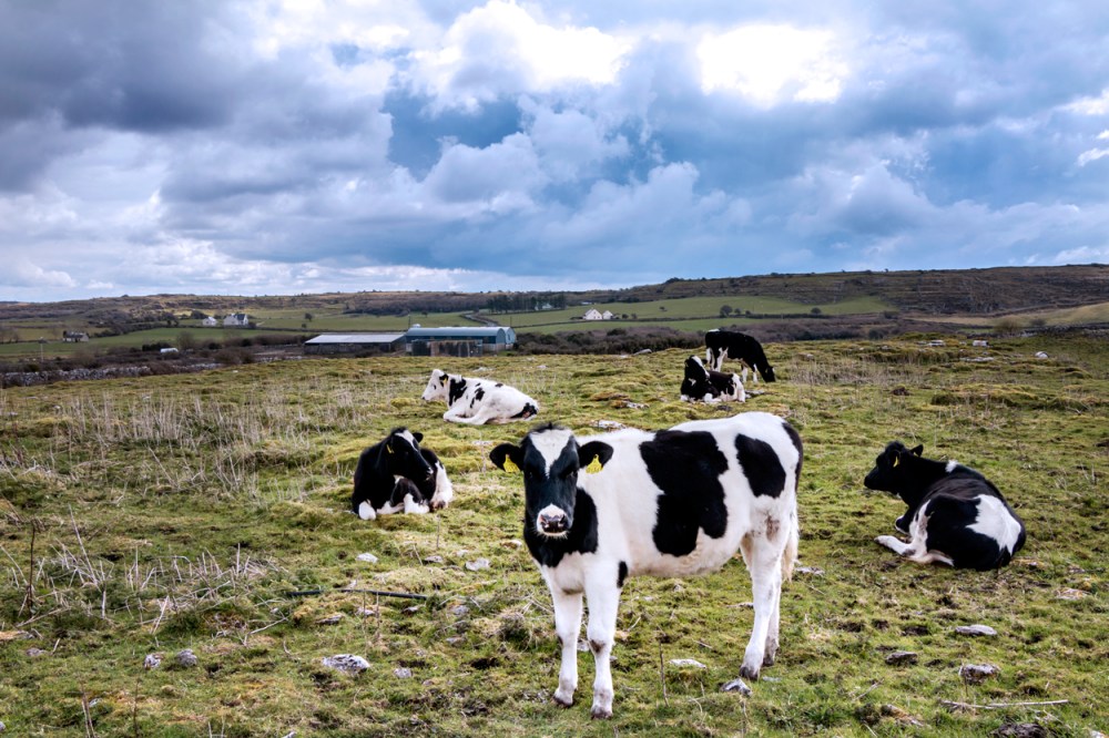 2016-Ireland-05-Caherconnel-Fort_01-1